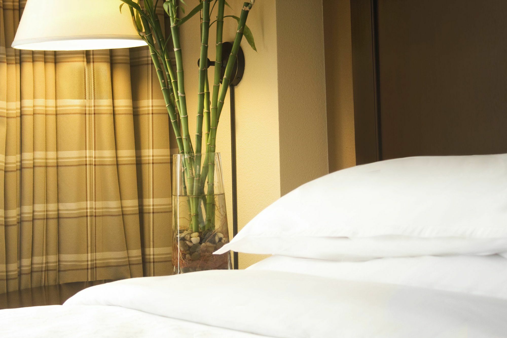 Sheraton Atlanta Perimeter North Sandy Springs Buitenkant foto
